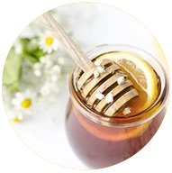 Best Allergy Decongestant