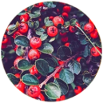 Effective natural sleep remedies,